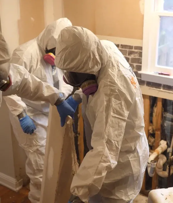 Gross Filth Cleaning — Bio-One of Fort Myers technicians on site